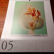 DZ Bank Kunstsammlung Kalender 2015