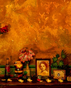 coco in cuba elios house II