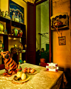 coco in cuba house of ana II