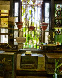 coco in cuba house of bermudez II