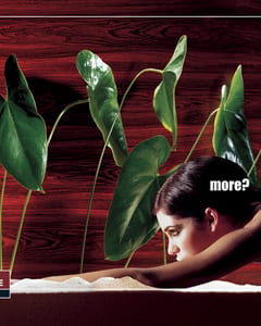 more + more 1