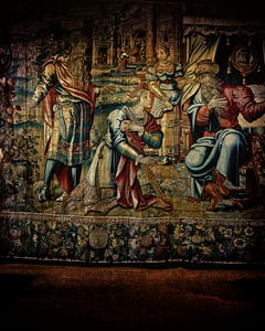 Ca' d'Oro IX