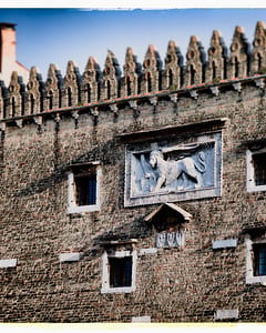 Lion at the Canale Grande