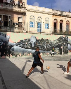Graffiti 20, 2016