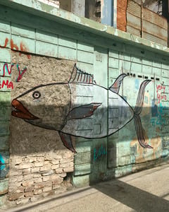 Grafitti in Old Havana II, 2015