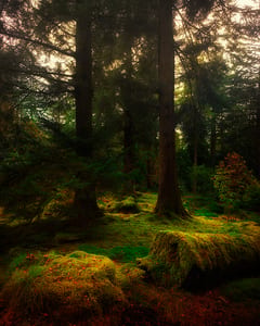 Benmore XI