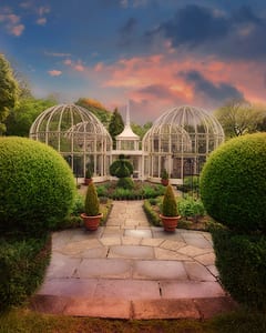 Birmingham Botanical Garden V