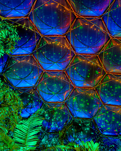 Eden Project I