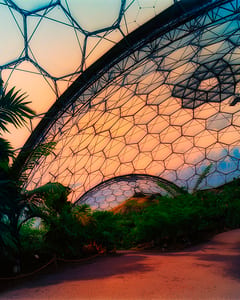 Eden Project III
