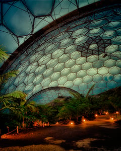 Eden Project VII