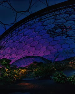 Eden Project VIII