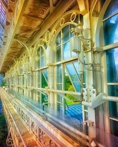 Großes Palmenhaus Schönbrunn III 