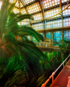 Großes Palmenhaus Schönbrunn V 