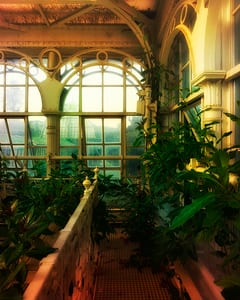 Großes Palmenhaus Schönbrunn VI 