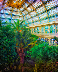 Großes Palmenhaus Schönbrunn VIII 