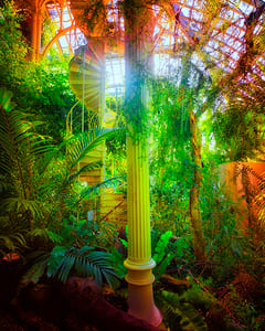 Großes Palmenhaus Schönbrunn XVI 
