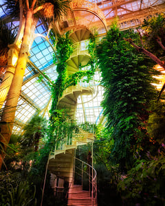 Großes Palmenhaus Schönbrunn XXII