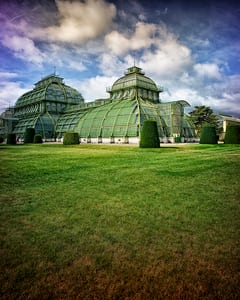 Großes Palmenhaus Schönbrunn XXVII