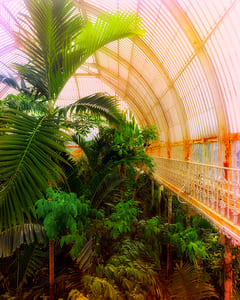 Kew Garden I 