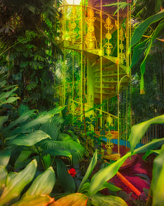 Kew Garden III 