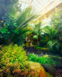 Kew Garden V 