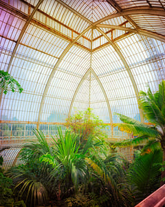 Kew Garden VII 