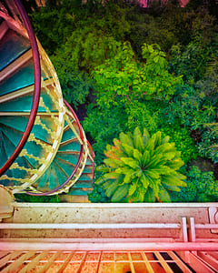 Kew Garden XII 