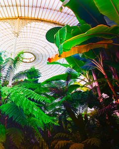 Kibble Palace Glasgow VII 