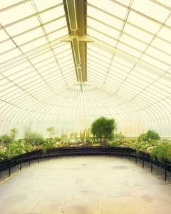 Kibble Palace Glasgow VIII 