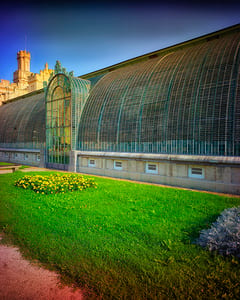 Lednice Palmenhaus IX 