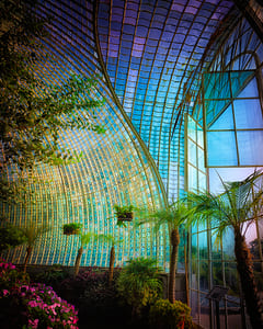 Lednice Palmenhaus XIV 