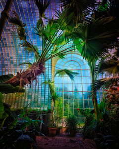 Lednice Palmenhaus XIX