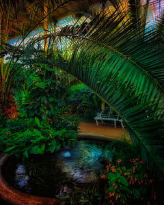 Lednice Palmenhaus XVII 