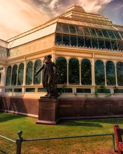 Liverpool Palmhouse I