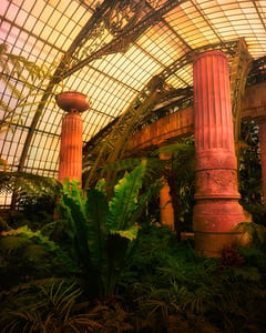 Royal Garden Brussels I 