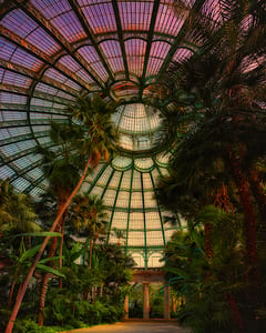 Royal Garden Brussels II