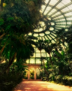 Royal Garden Brussels IX 