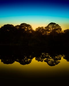 City Park II