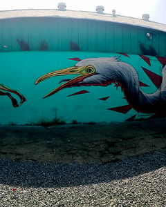 Graffity in Nola 15