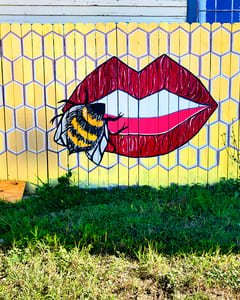 Graffity in Nola 36