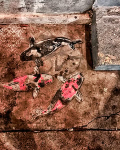 Graffity in Nola 44