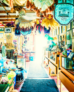 House of Feathers I