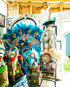 House of Feathers V