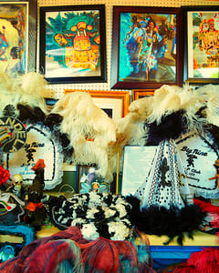 House of Feathers VI