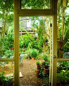 House of Will VII