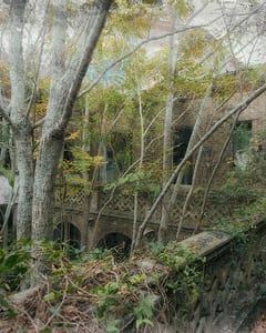 Shakespeare House VI