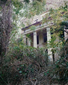 Shakespeare House VII