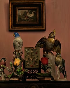 House of Alonso - birds