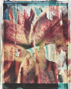 Collage II
