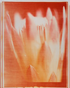 Feuer IV